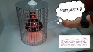Брудер для цыплят "Эконом" - крепкая защитная сетка инфракрасной лампы с регулятором температуры