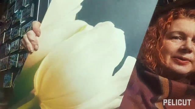 LumpexDama O świni, Zakonie Mopsa i jak zrobić samemu bransoletkę смотреть онлайн