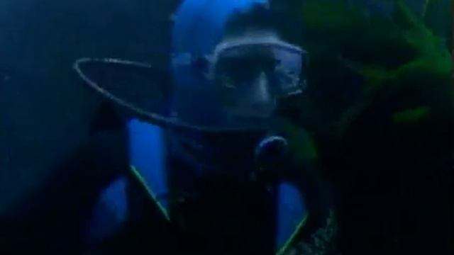 Sun Microsystems TV AD Blue screen of death смотреть онлайн