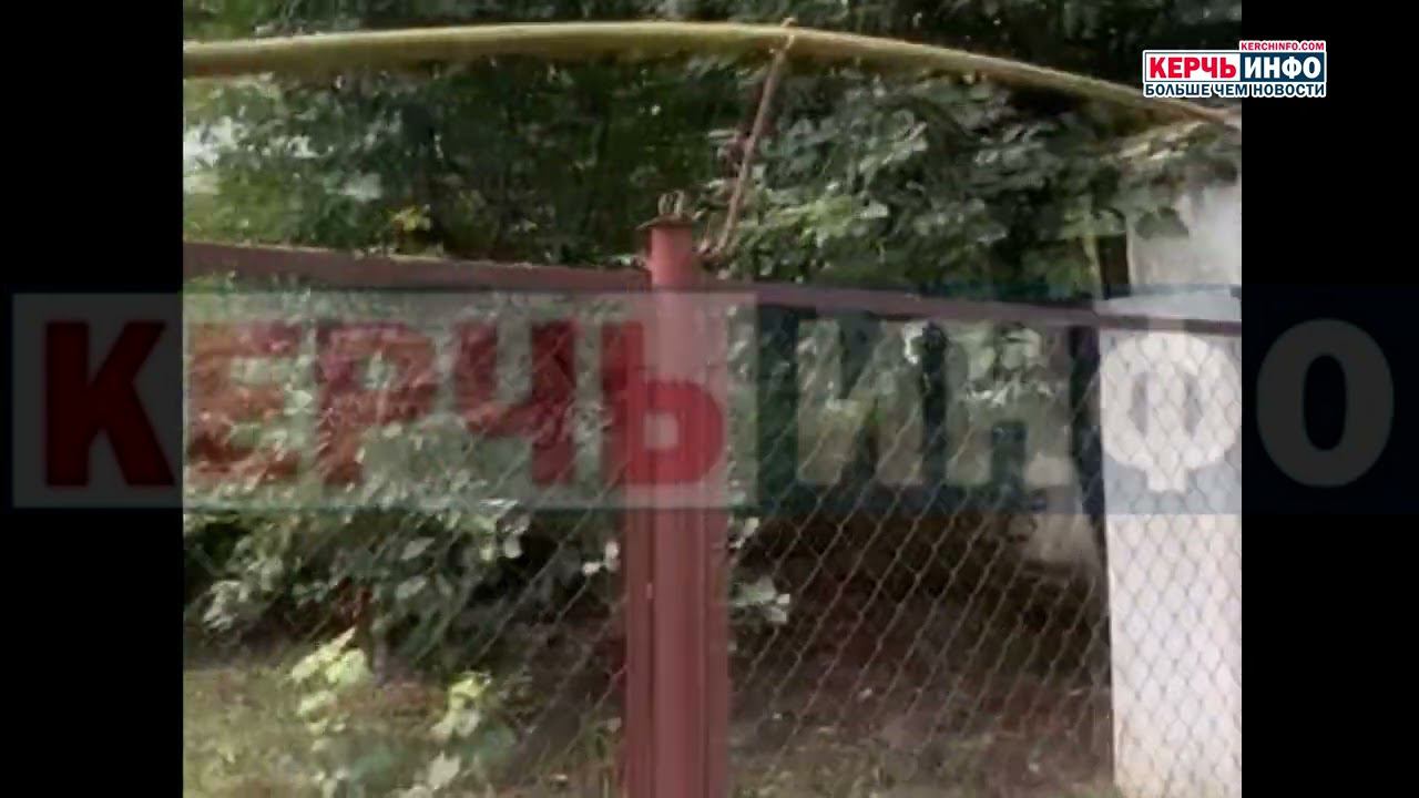 Огромное дерево упало в Керчи: жители остались без света и газа смотреть онлайн