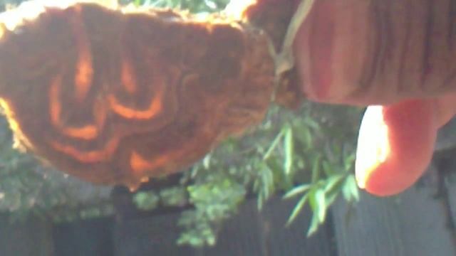 C:\Documents and Settings\Safin\Desktop\201011A0\18112010023.MP4 смотреть онлайн