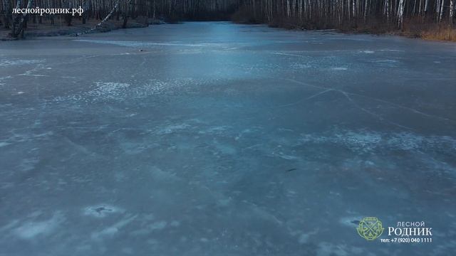 Фахверковый дом в стиле "Шале" площадью 250 м2 на участке 25 соток в с.Елховка, Нижегородская обл. смотреть онлайн