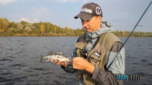 Ловля судака на джиг Поводок из флюрокарбона