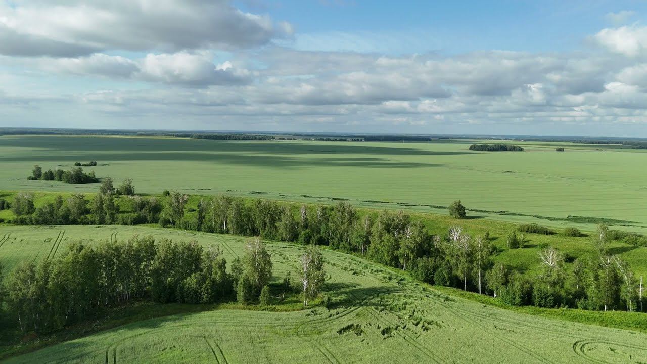 Родные просторы.
