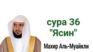 сура 36 Ясин Махир Муайкли. Surah 36. Surah Yaseen Maher Al Muaiqly - سورة يس - ماهر المعيقلي