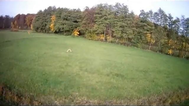 QC Friedrichsdorf смотреть онлайн