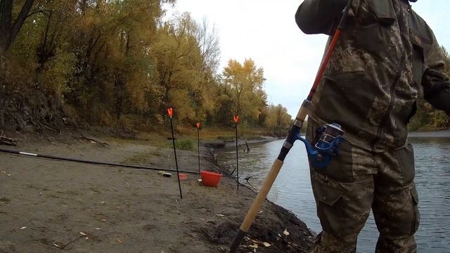 Рыбалка на фидер в Новосибирске. Ловиться ли карась в конце сентября? ДА! Отличный клёв! смотреть онлайн