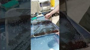 Растонировка. Снятие старой плёнки со стекла. Чистка от клея.