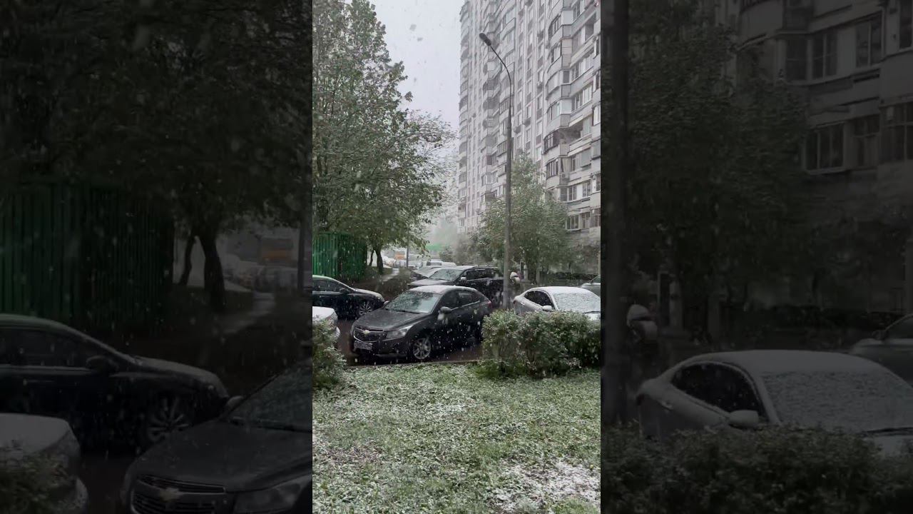 Весна в Москве. Погода на майские #погодавмоскве #веснавмоскве #природашутит #nature