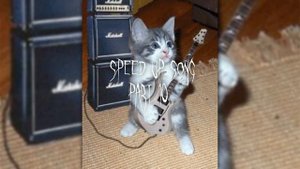 °•Алексей Вишня—Ты не пришла•°speed up