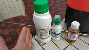 Надёжная схема обработки виноградника перед цветением.