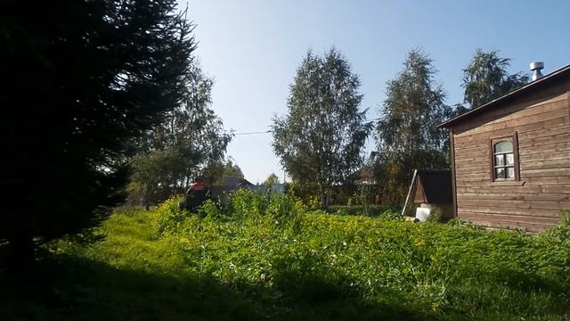 давлю гусеницу - крестоцветную... под торфование 23.09.2020 смотреть онлайн