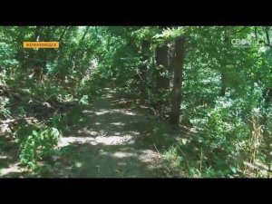 Новый старый терренкур в Железноводске
