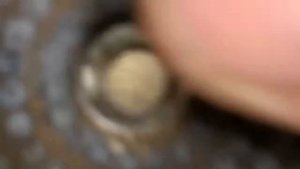 Капремонт кофемашины Astoria