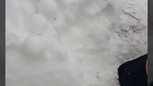 Что такое снежколеп ? смотреть онлайн