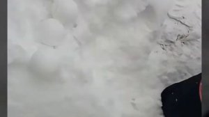 Что такое снежколеп ?