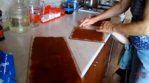 КАК ПРИГОТОВИТЬ ПАСТИЛУ ИЗ АБРИКОСОВ, РЕЦЕПТ ПАСТИЛЫ