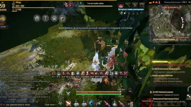 BlackDesert Гайдик по охоте в горах Баленоса