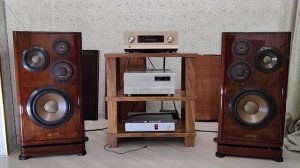 DIATONE DS - V5000/Бриллиантовый звук и внешний вид