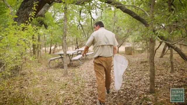 Identify Nature With iNaturalist смотреть онлайн