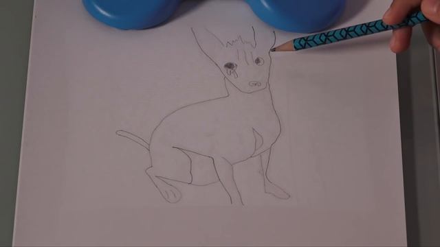 Convierto a mi PERRO en RataOs смотреть онлайн