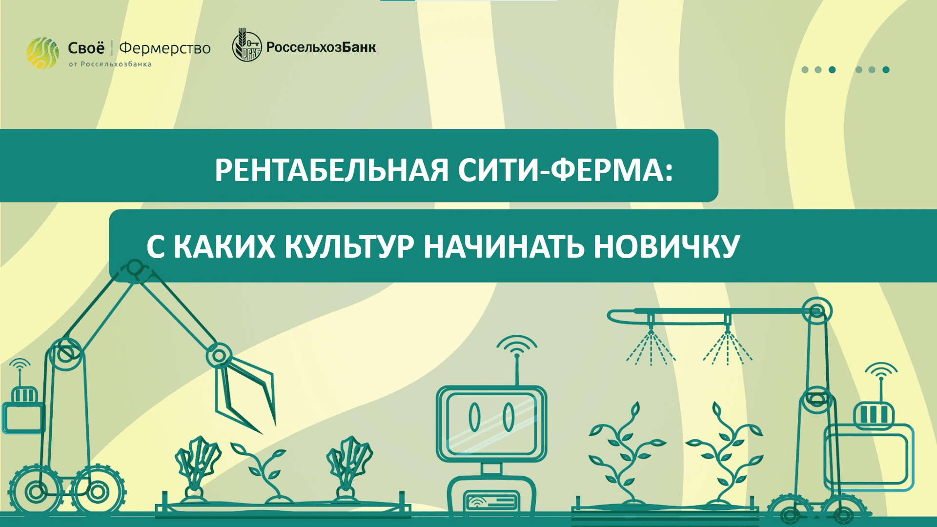 Рентабельная сити-ферма: с каких культур начинать новичку