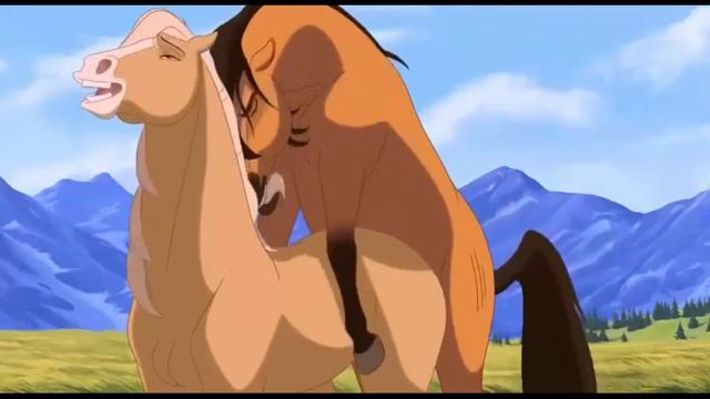 Horse animation mating