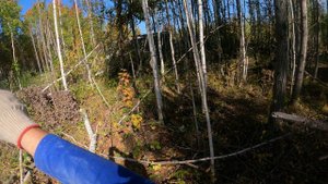 Подготовка участка к строительству канал Ноя