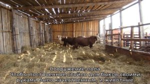 Сарай для быков