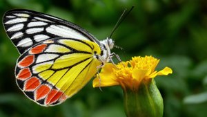 Андерсон Юэлль - 08. Любовь, озвучивает Nikosho..mp4