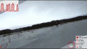 Лыжный марафон Галичское Заозерье 2023