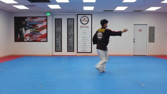 Hapkido Black Belt Chun Form смотреть онлайн