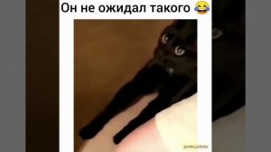 Он не ожидал такого