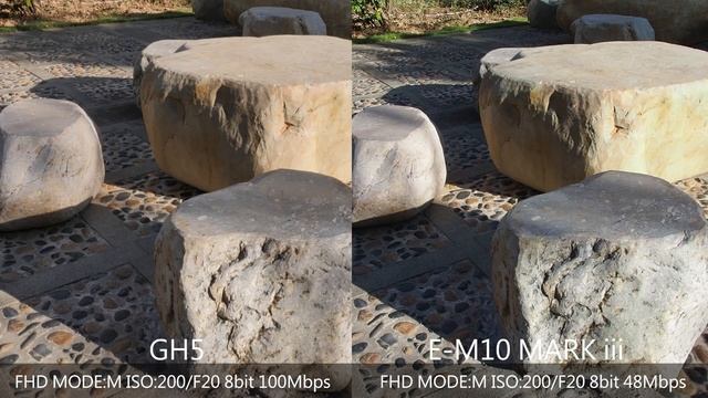 Panasonic GH5 VS OLYMPUS E-M10 Mark III Video test смотреть онлайн