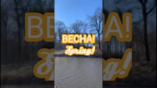 ВЕСНА -  ЯРКИЙ СВЕТ и КОНЕЧНО ПЕРВОЦВЕТ! смотреть онлайн