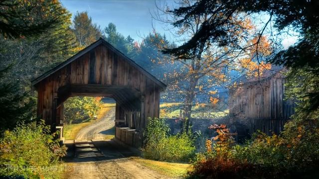 Учитель поиздевался над ребенком и мать решила подкараулить его. Но то что выяснилось позже... смотреть онлайн