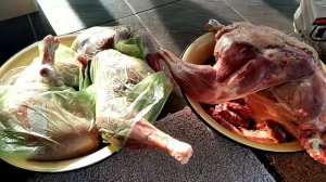 СКОЛЬКО ВЕСИТ ТУШКА ИНДЮКА В 117ДНЕЙ. МОИ РЕЗУЛЬТАТЫ