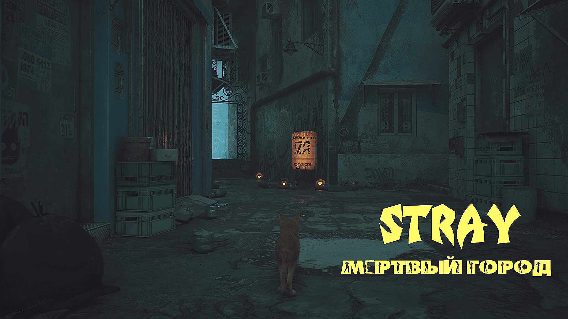 Карта трущоб stray