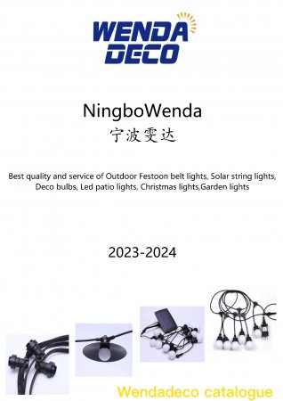 2023-2024 New catalogue for  Festoon lights | Wenda Deco: the ultimate things list