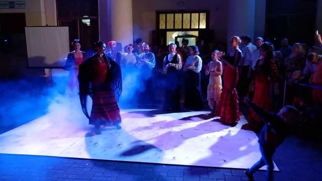 Ночь музеев, фламенко Сочи, Евгения Горина №2 смотреть онлайн