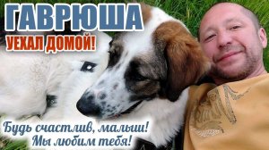 ❤️ ГАВРЮША УЕХАЛ ДОМОЙ❗ МАЛЫШ Будь счастлив в новой жизни, мы любим тебя❗ Спасибо всем, КТО ПОМОГ❗