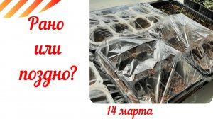 Посевная 2021. Томаты и перцы.