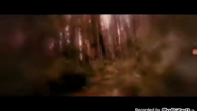 ТОП 5 кровавых животных смотреть онлайн