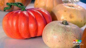 Царица огорода - тыква. Жить здорово! Фрагмент выпуска от 24.07.2017
