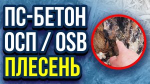 Полистиролбетон, опалубка из ОСП / OSB и плесень