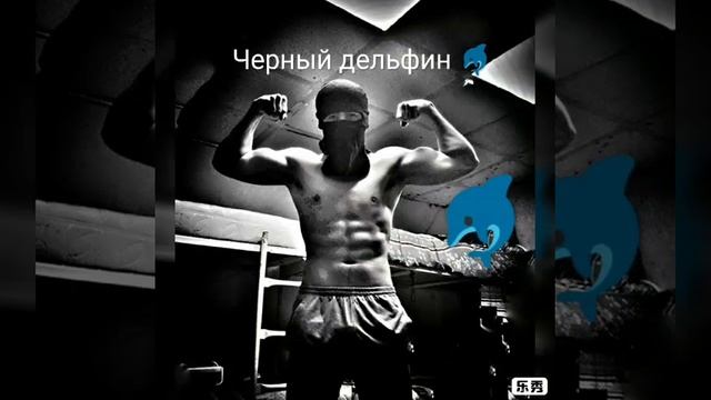 Черный дельфин смотреть онлайн