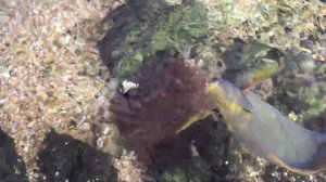 Пляжи Краби. "Вокруг Таиланда", серия 3.