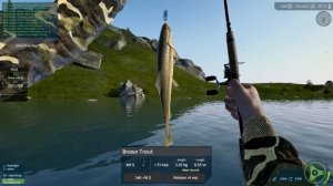 Catching HUGE TROUT! - Ultimate Fishing Simulator Gameplay