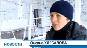 В селе Верх-Сузун для комфорта бурёнок учли и опыт других ферм, и собственные наблюдения