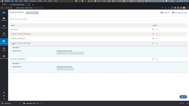 Walkthrough - App Protection in Zscaler Private Access смотреть онлайн